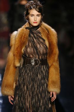 volpe rossa hc aw 67  Gaul_085.jpg